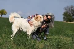 Pet photo 7