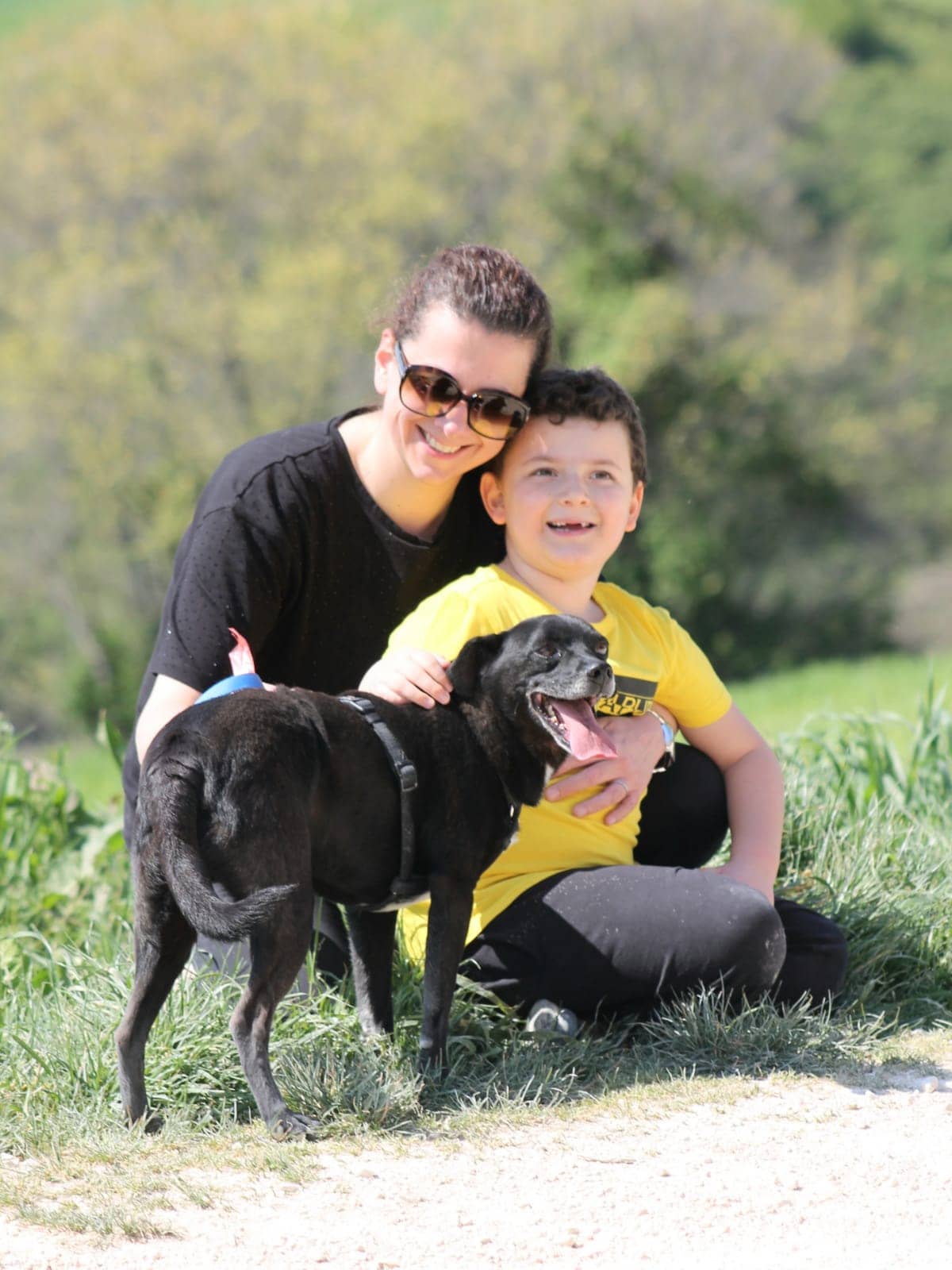 Pet photo 4