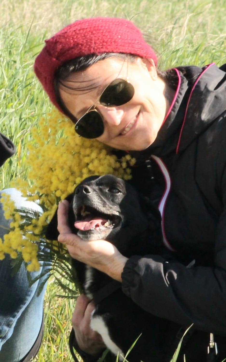 Pet photo 10