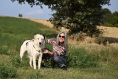 Pet photo 4
