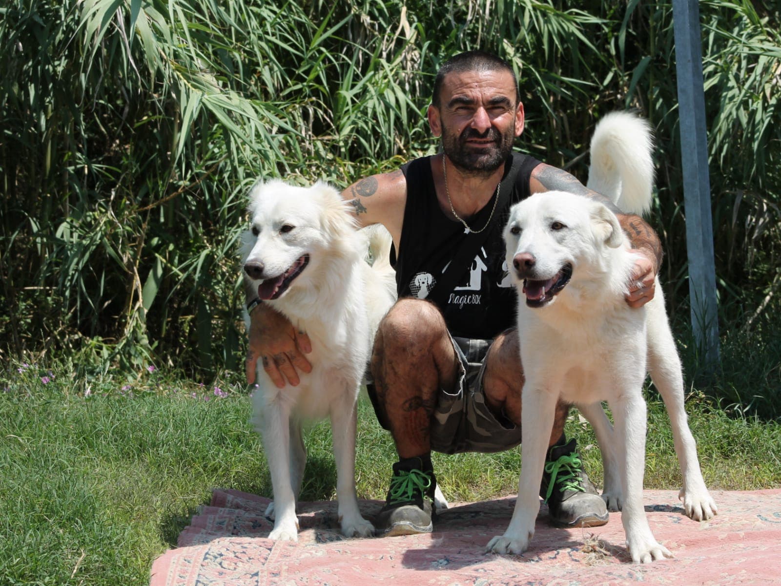 Pet photo 5
