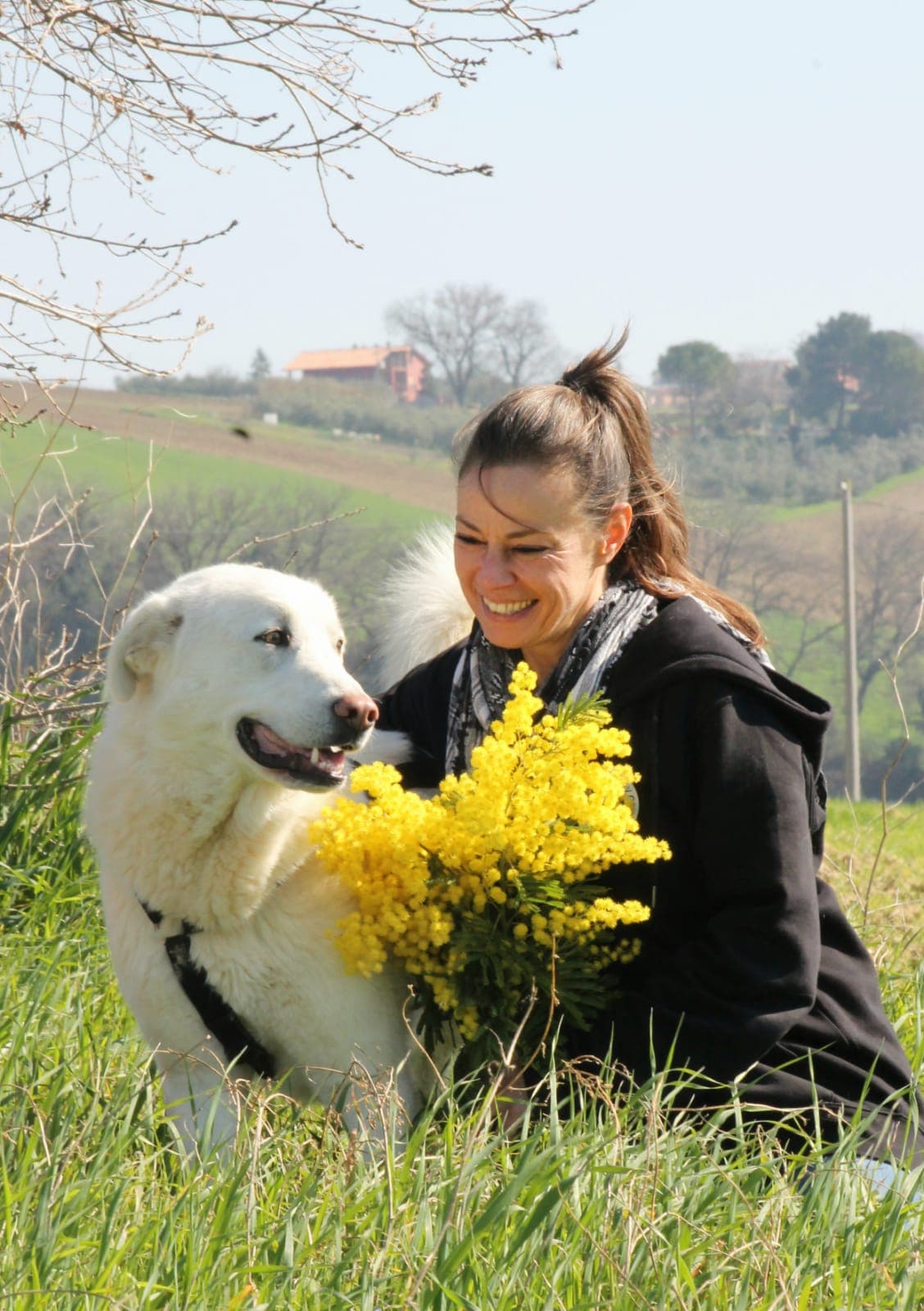 Pet photo 10
