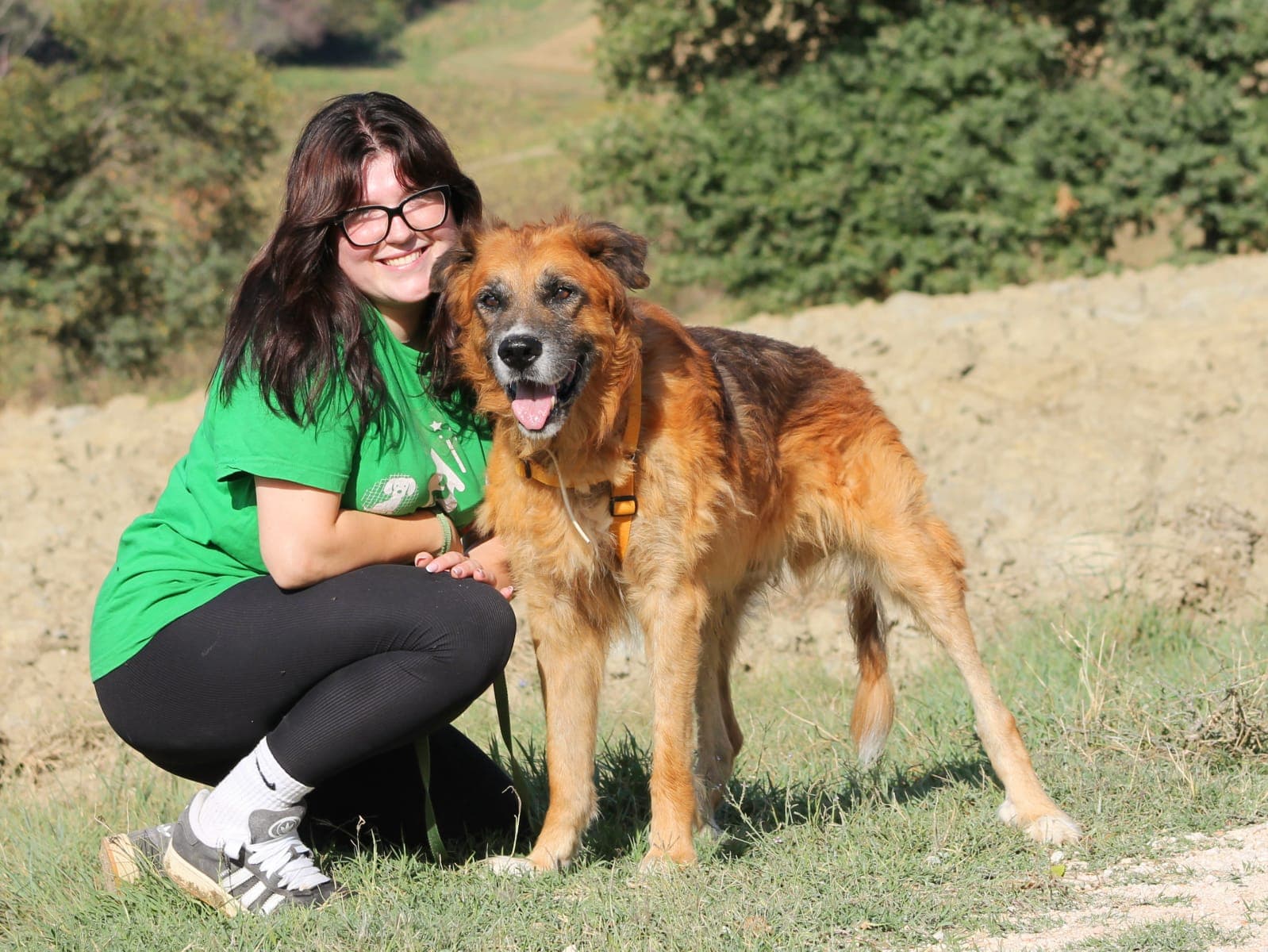 Pet photo 6