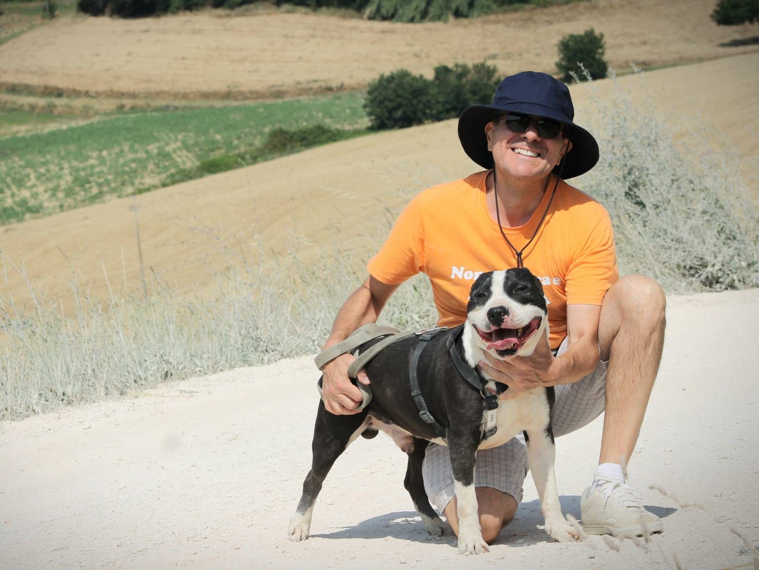 Pet photo 2
