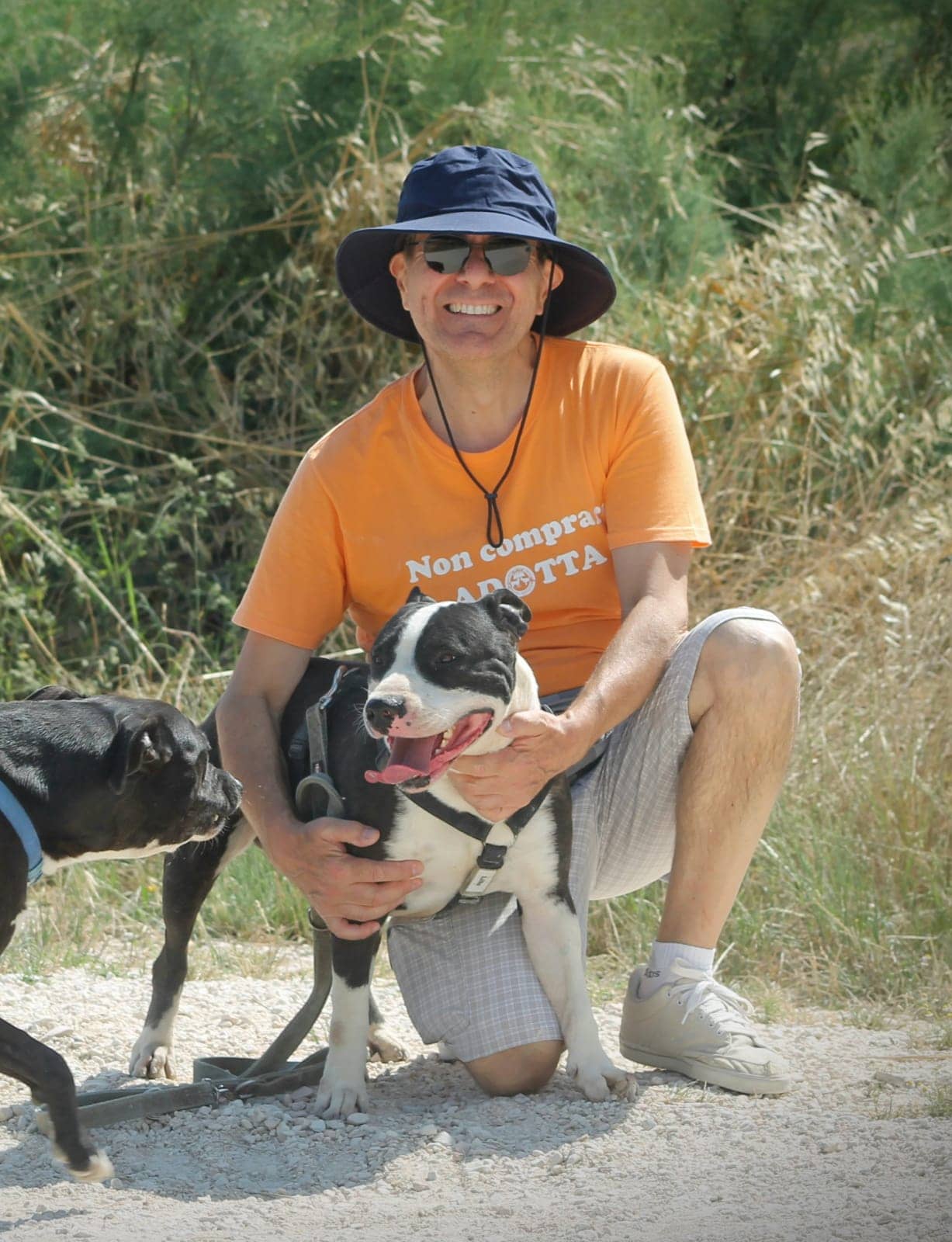 Pet photo 3