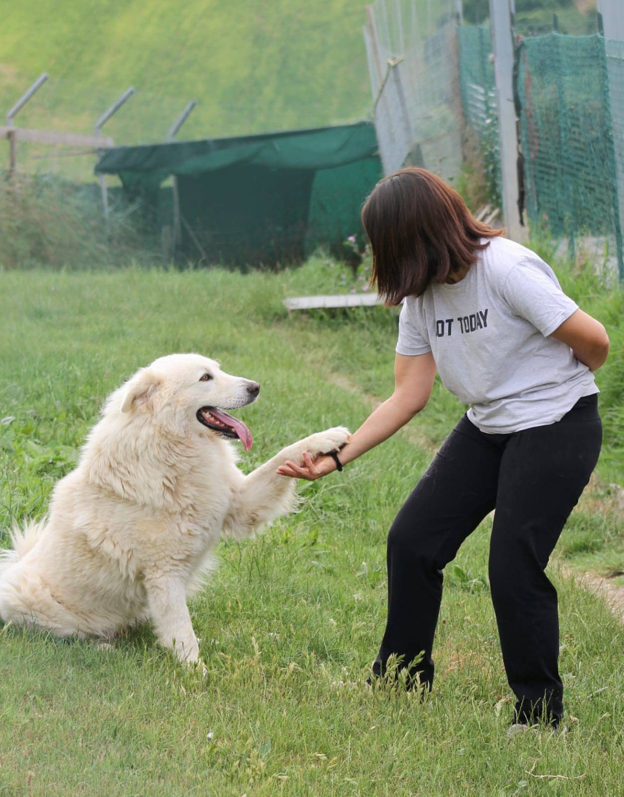 Pet photo 9