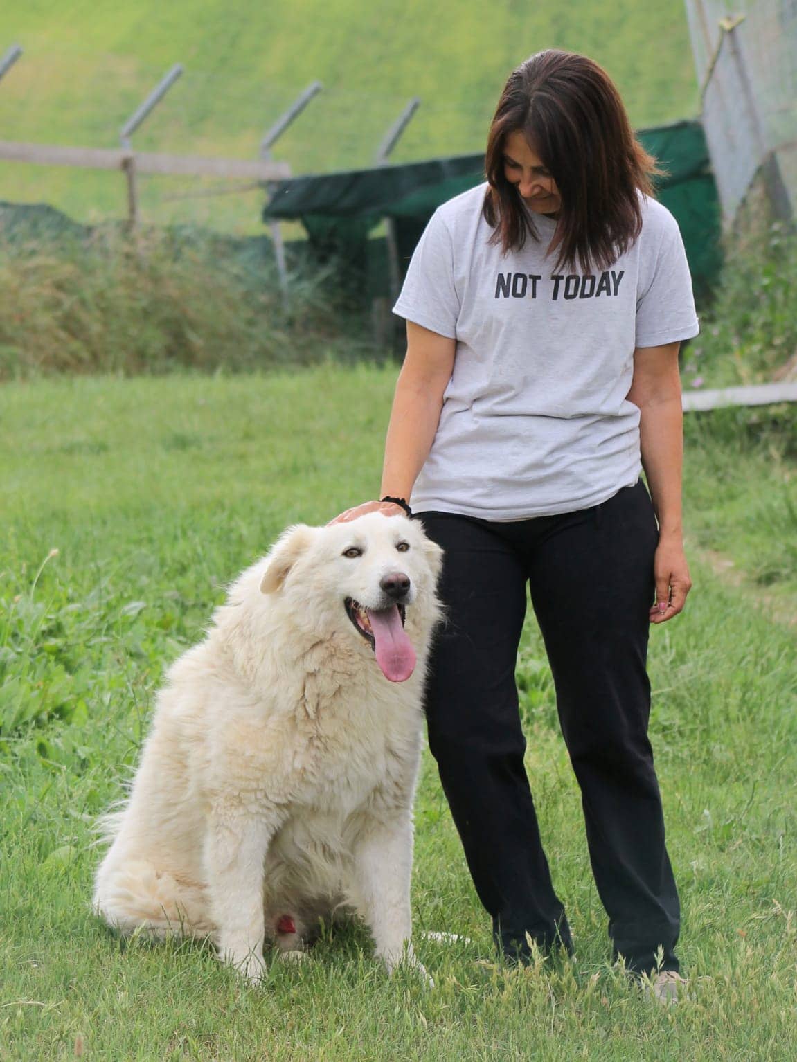 Pet photo 10