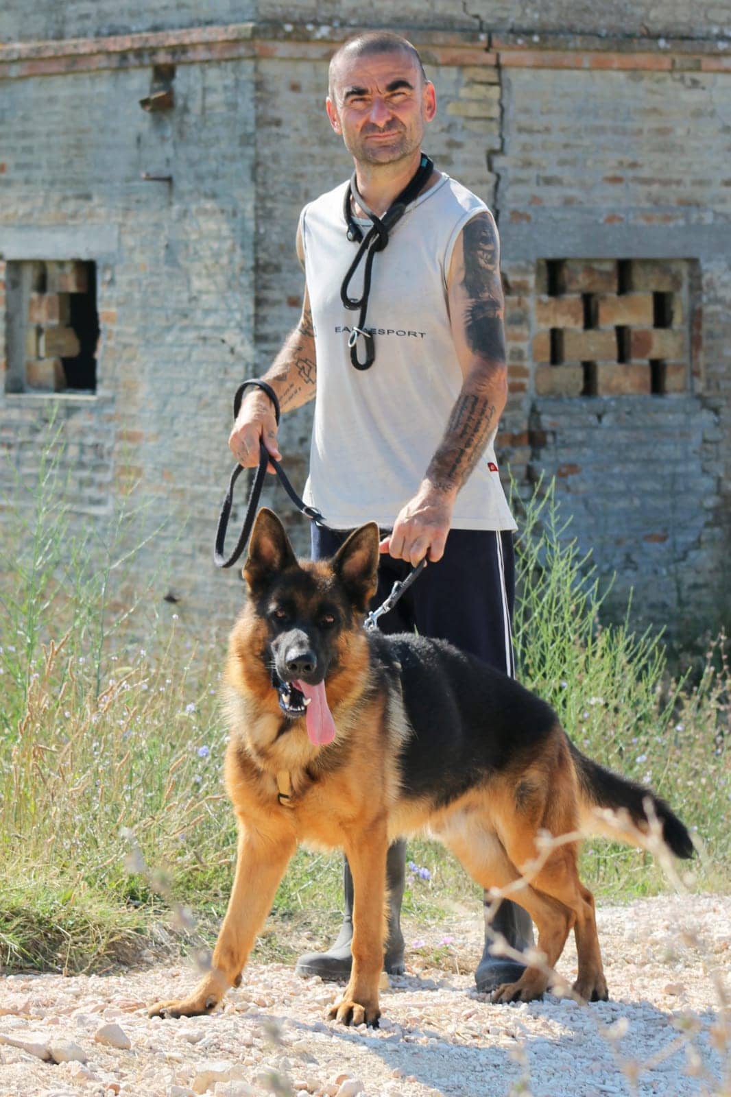 Pet photo 5