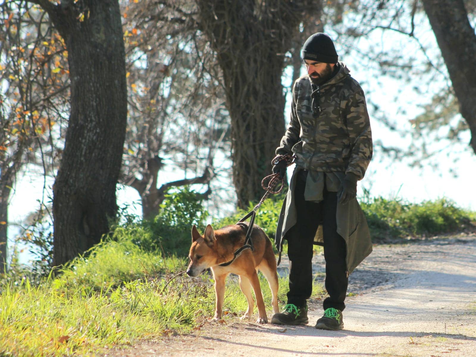 Pet photo 1
