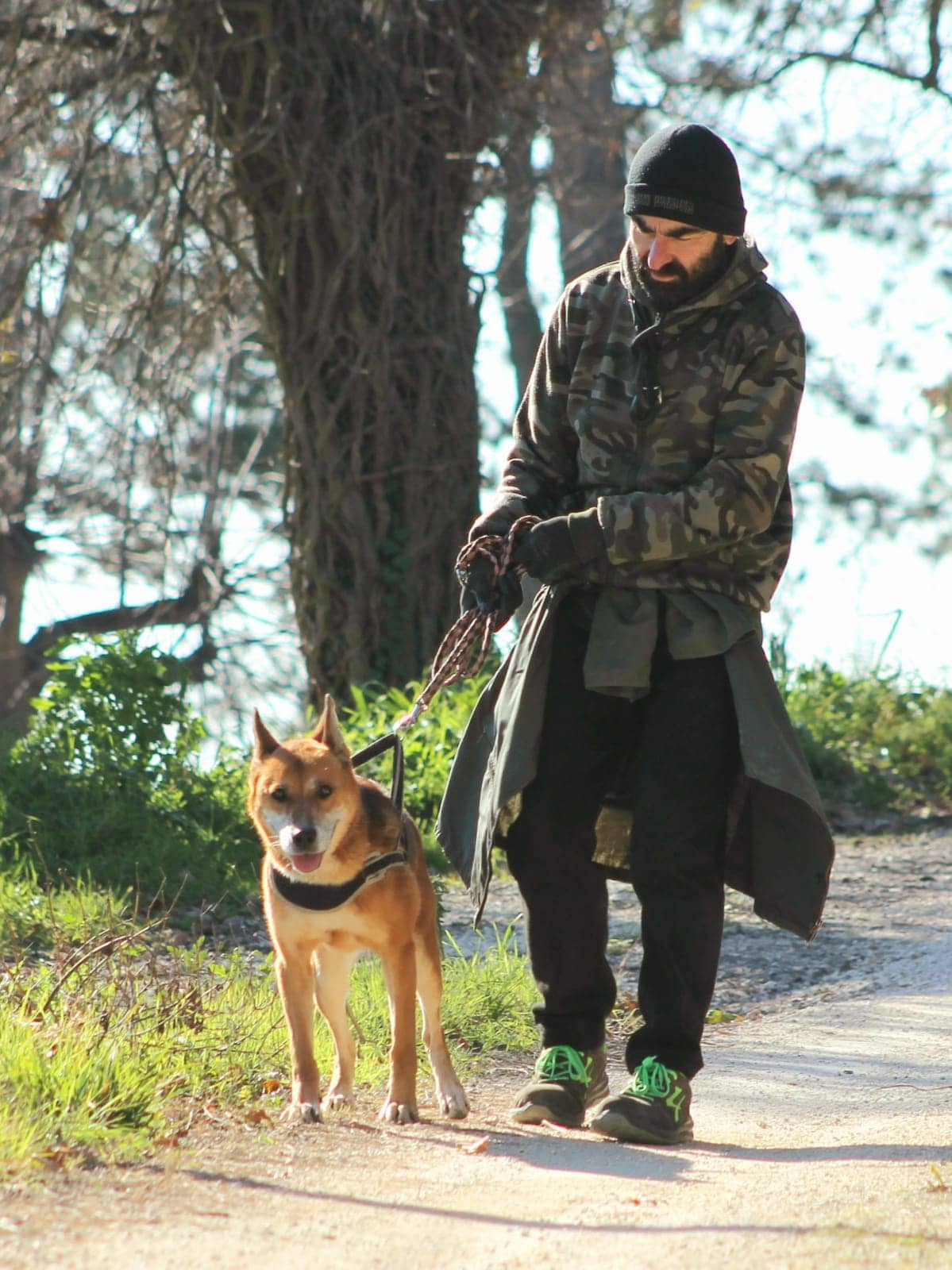 Pet photo 3