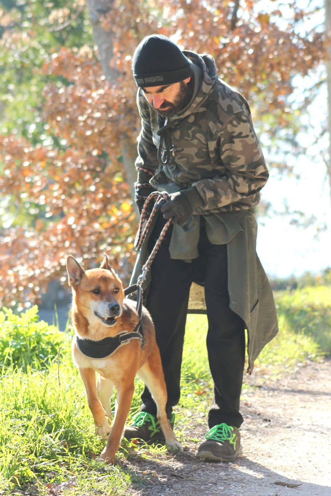 Pet photo 5
