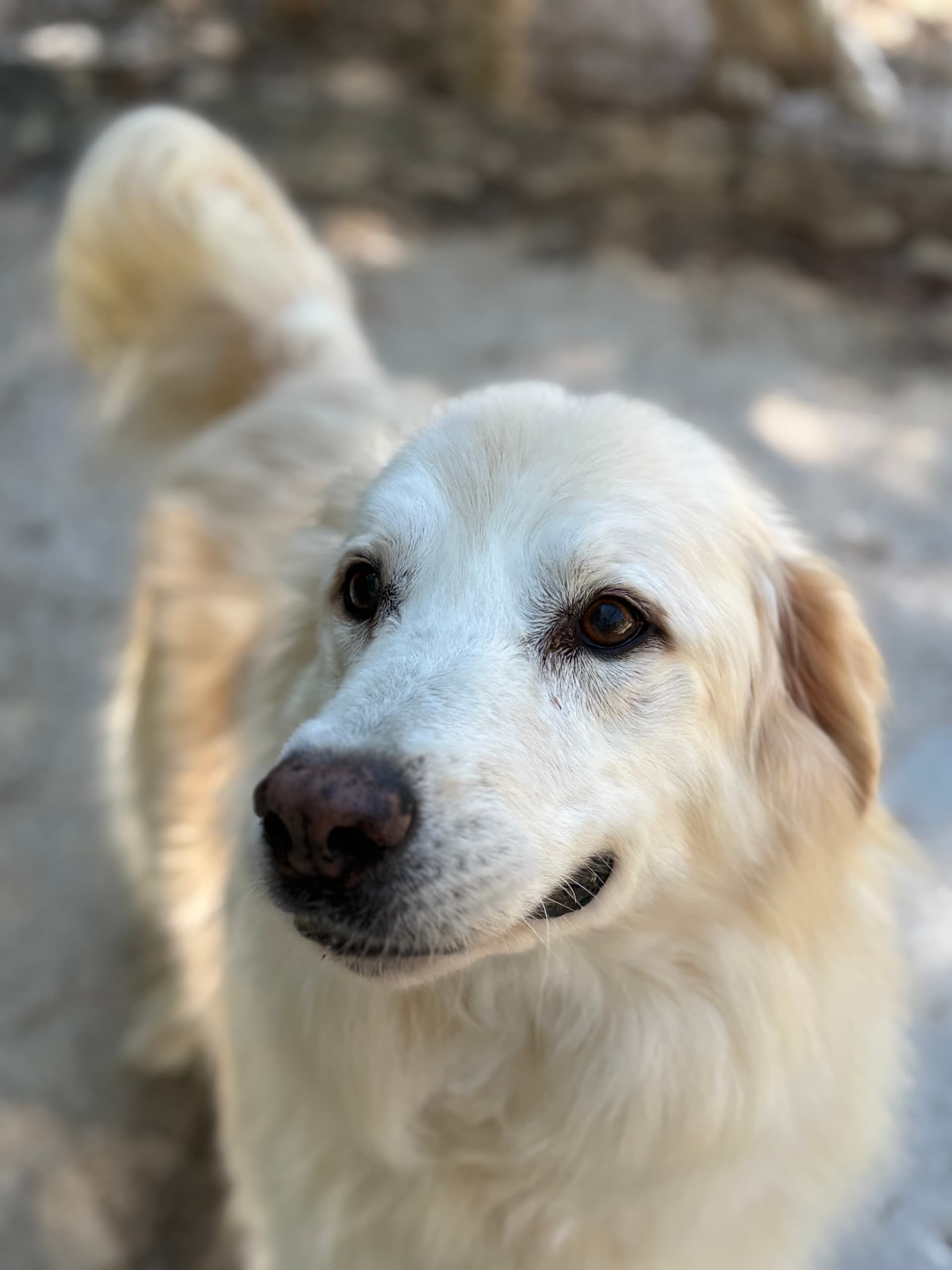 RUSTY