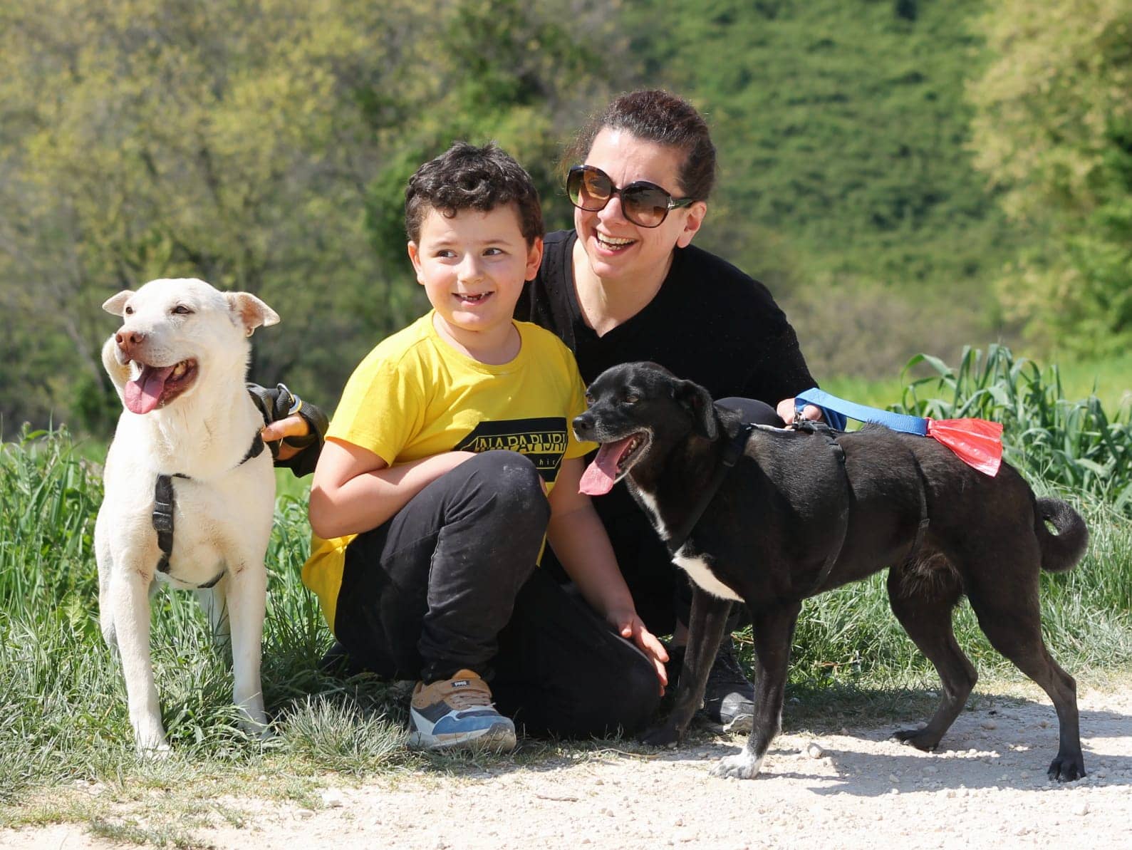 Pet photo 5