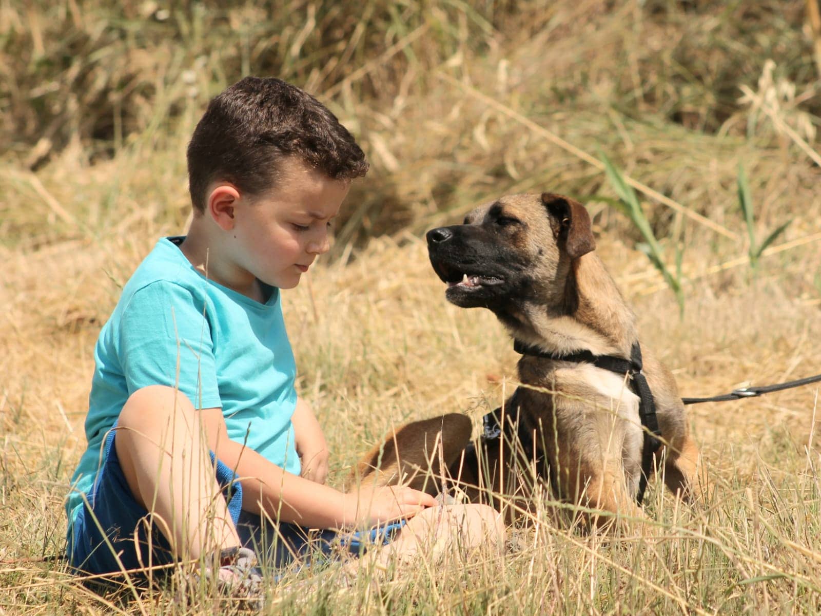 Pet photo 9