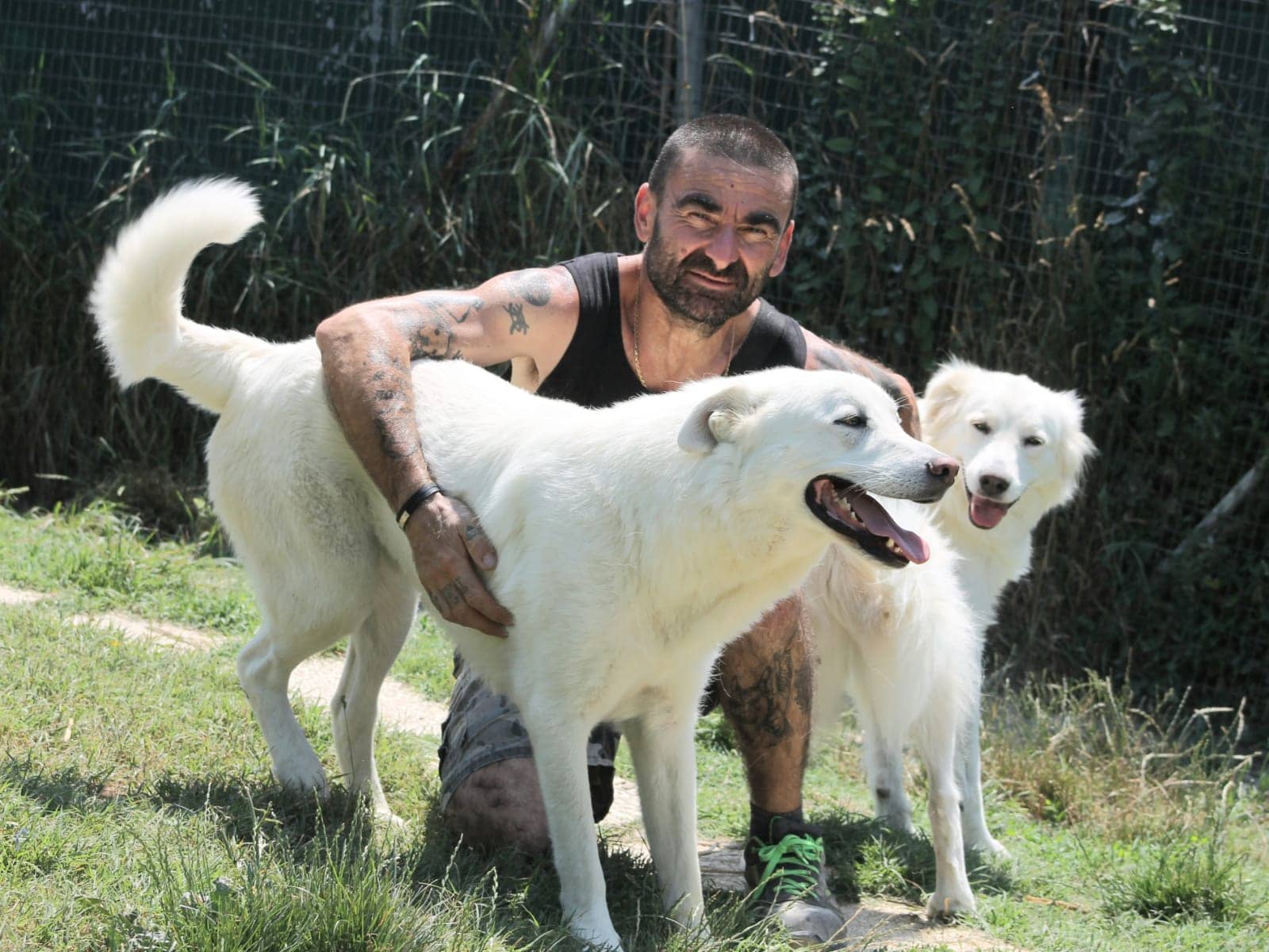 Pet photo 4