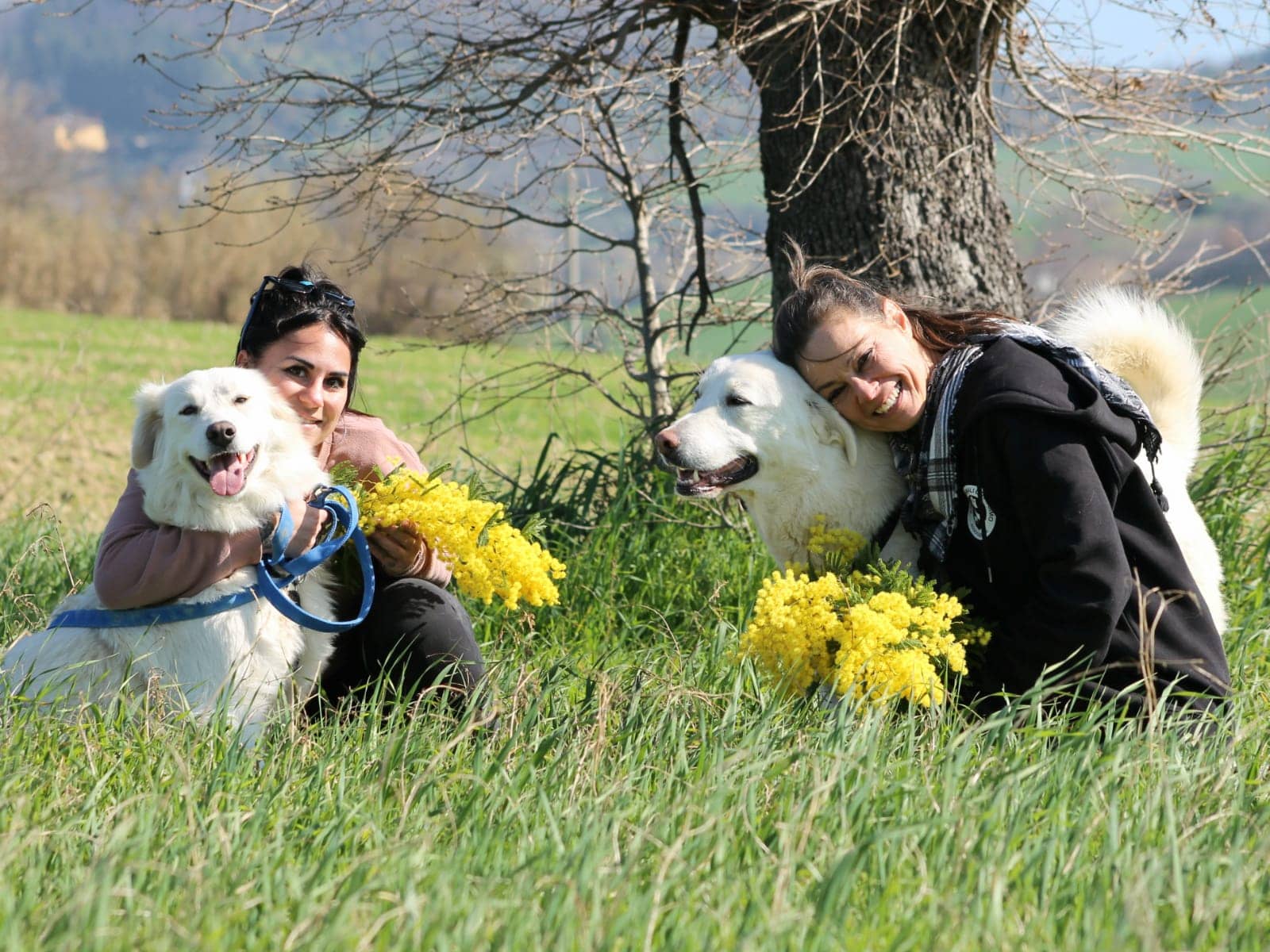 Pet photo 7