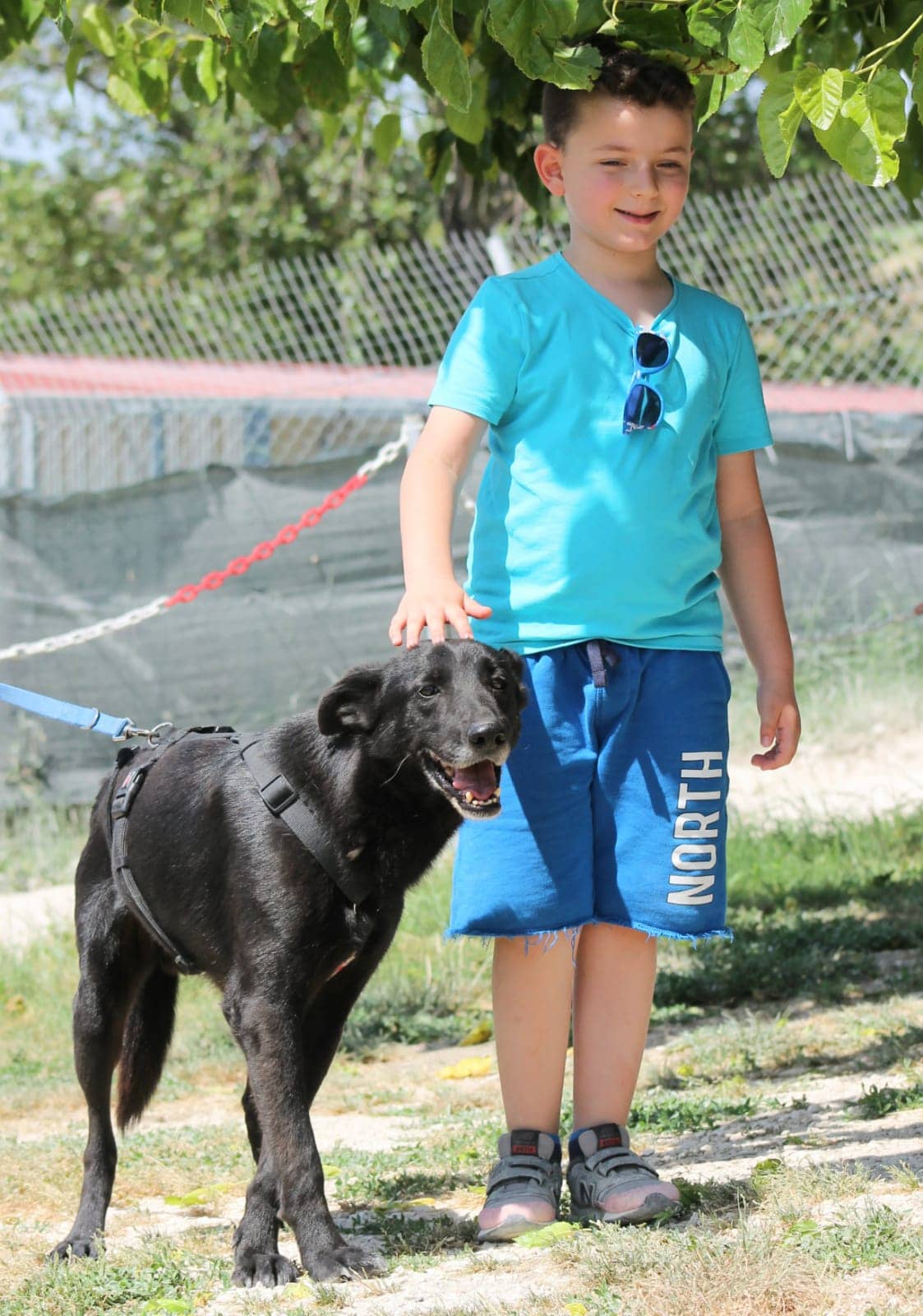 Pet photo 9
