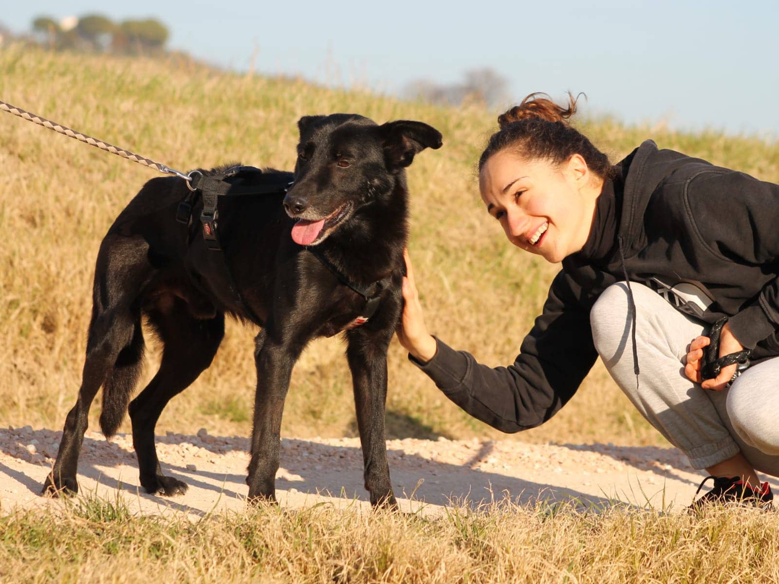 Pet photo 10
