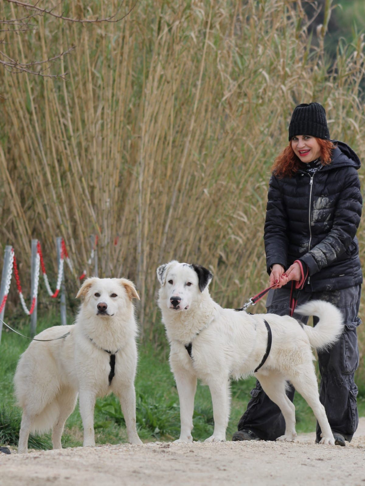 Pet photo 3