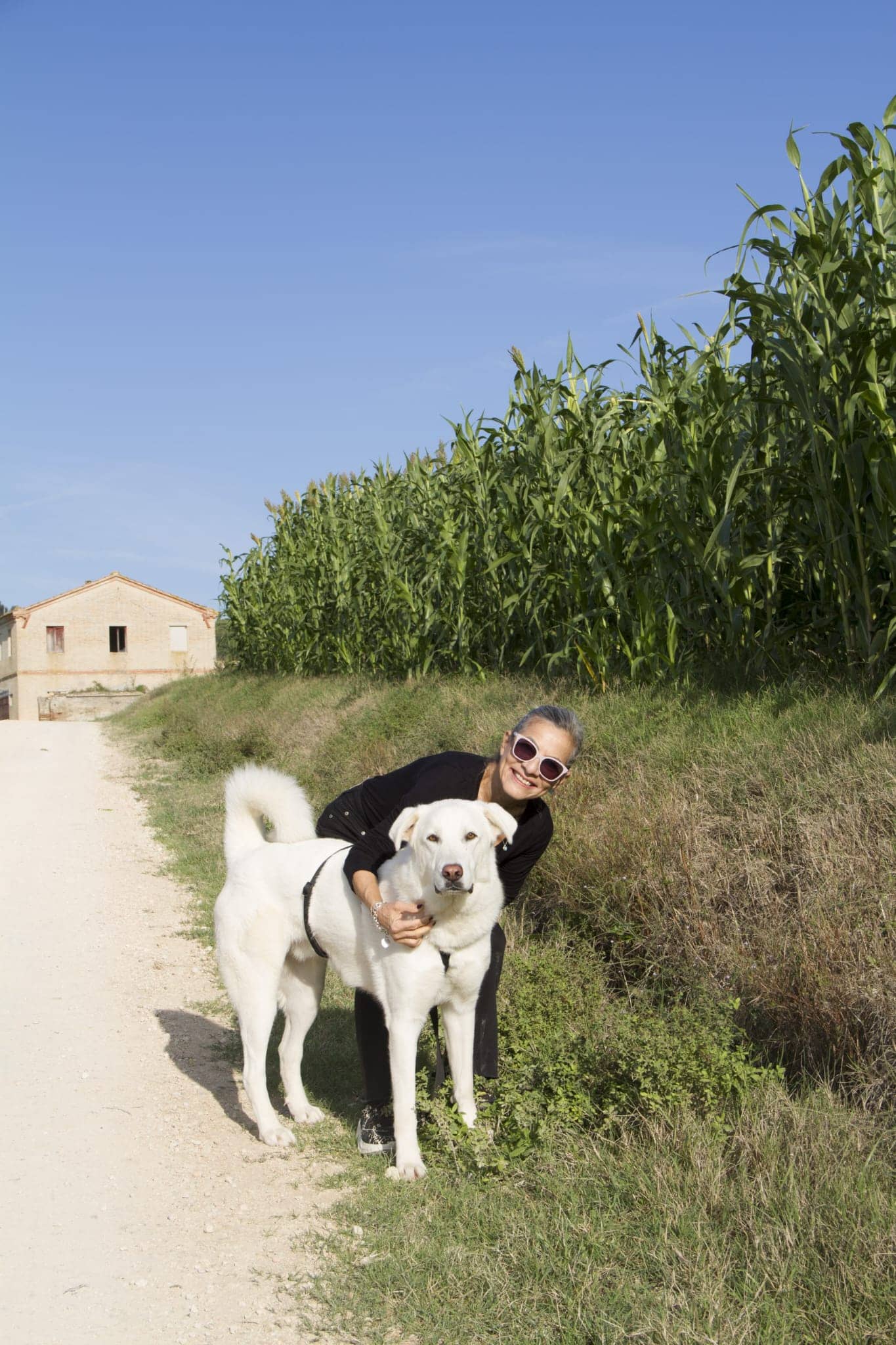 Pet photo 7