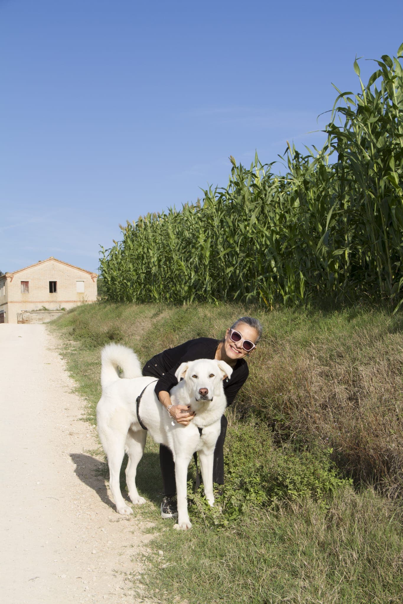 Pet photo 7