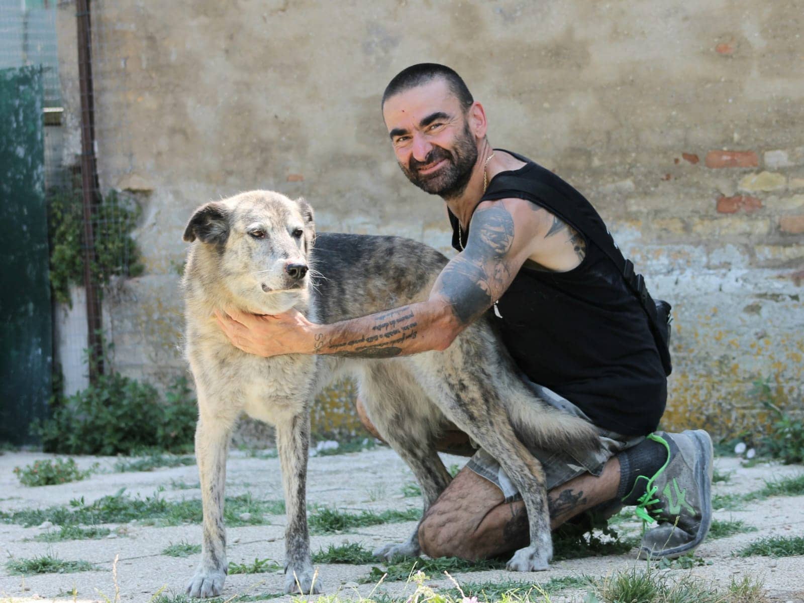 Pet photo 1