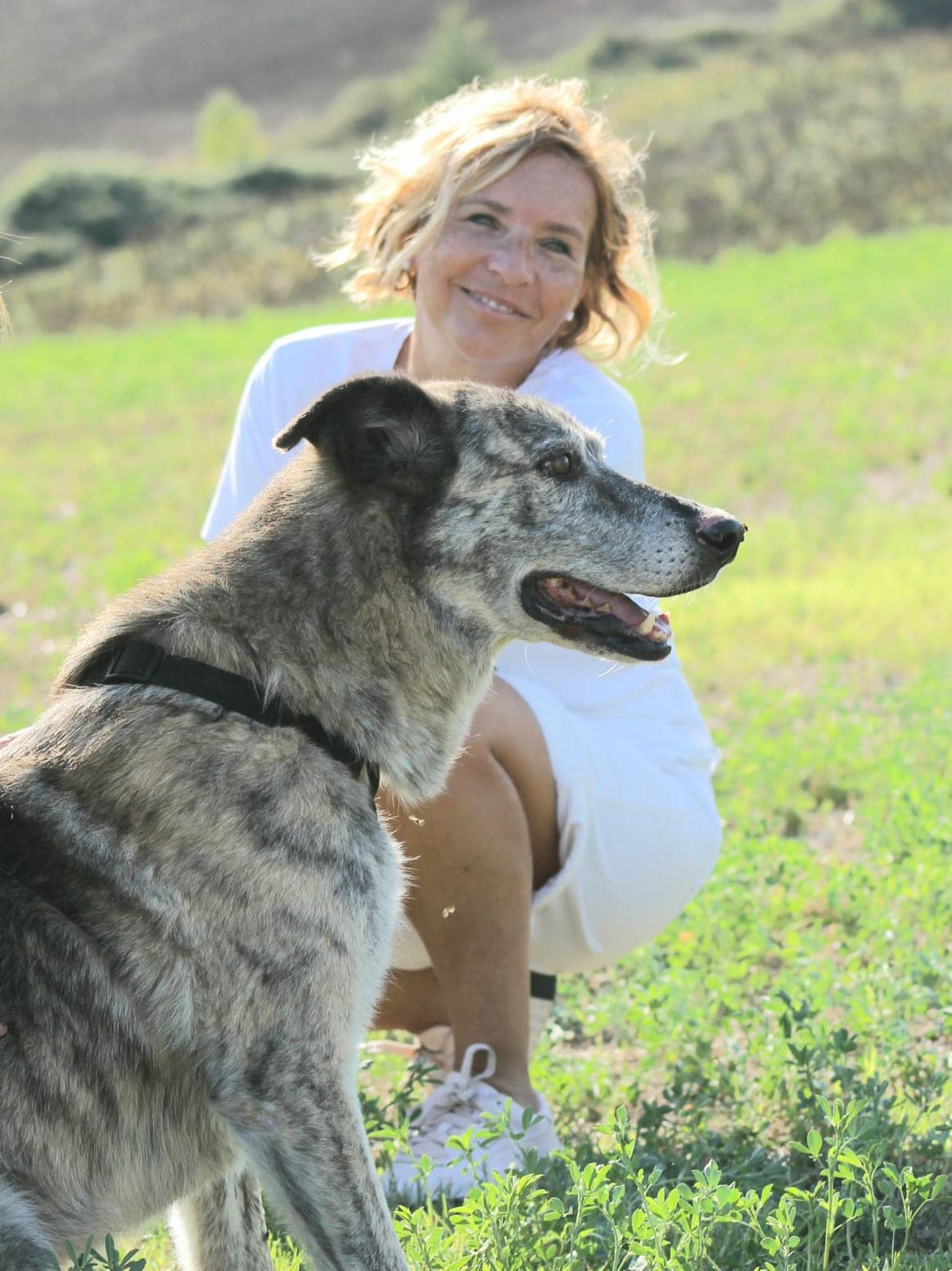 Pet photo 7