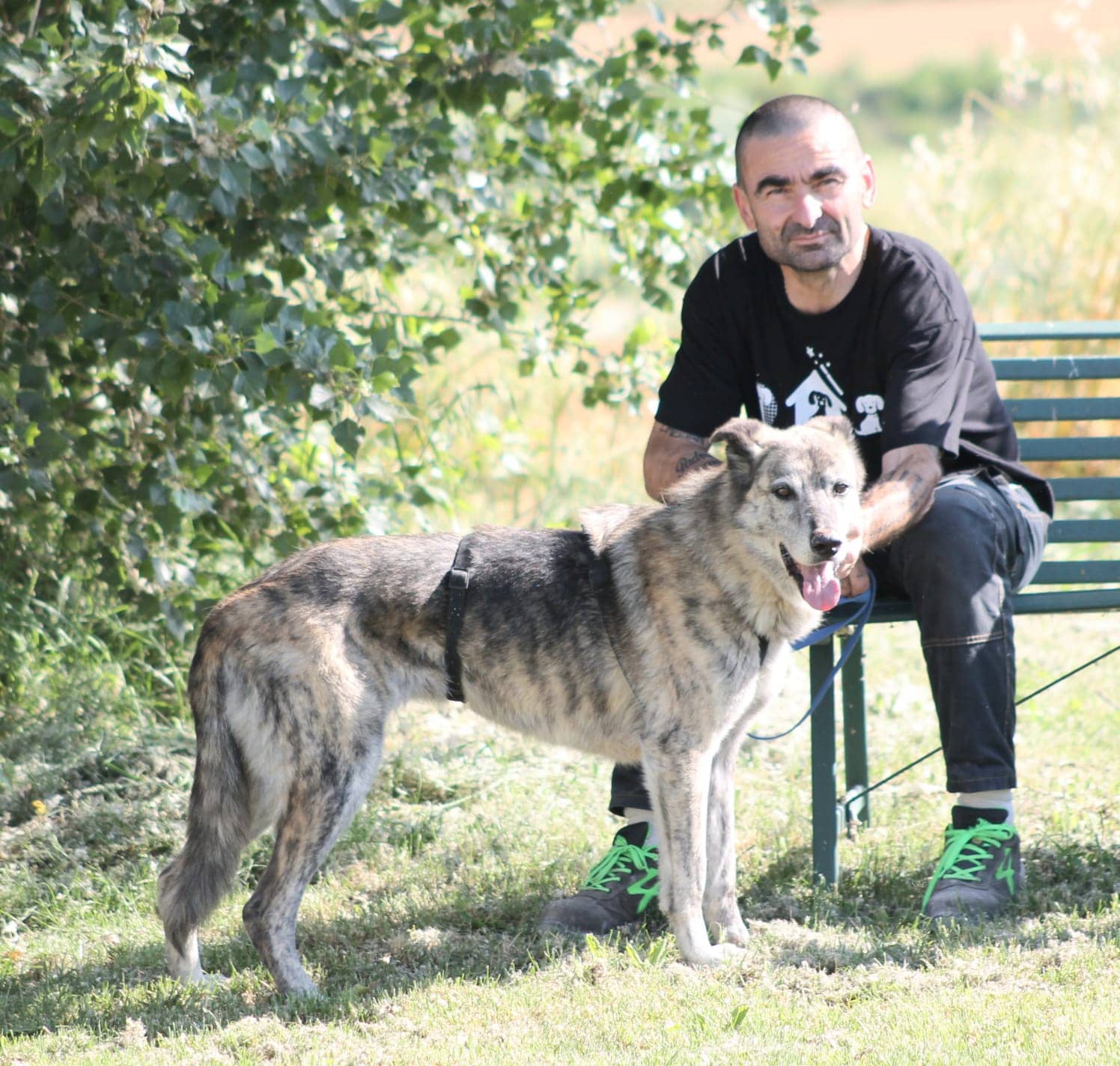 Pet photo 8