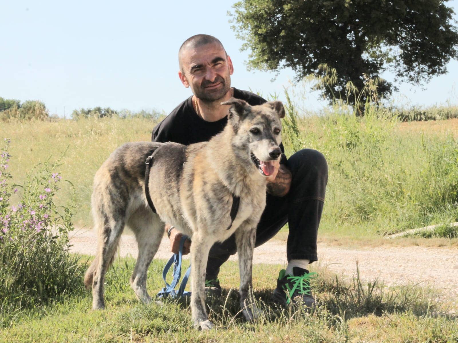 Pet photo 9